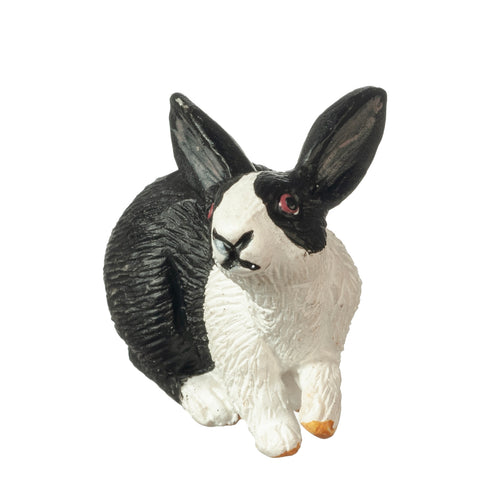 Pet Rabbit, Black and White