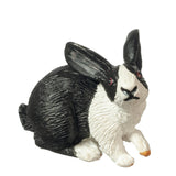 Pet Rabbit, Black and White