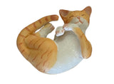 Cat, Orange Tabby, Curled up and Sleeping