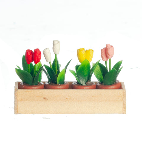 Window Box with Tulips in Flower Pots