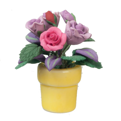 Pink and Lavender Roses in Pot