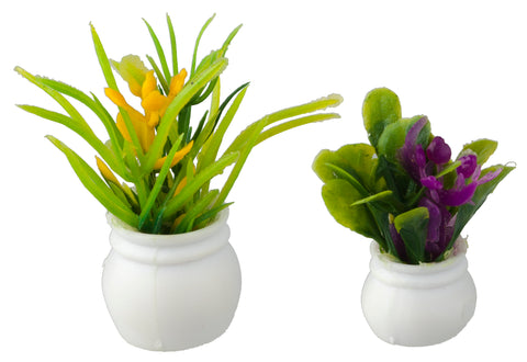Plants, Set of 2, Discontinued