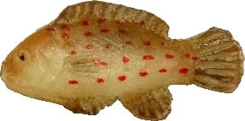 Fish, Red Spotted