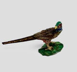 Ringnecked Pheasant Statue, Hand painted.
