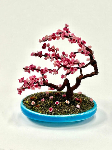 Eastern Redbud Bonsai Tree