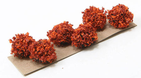 Border Plants, Large, Burnt Orange Autumn