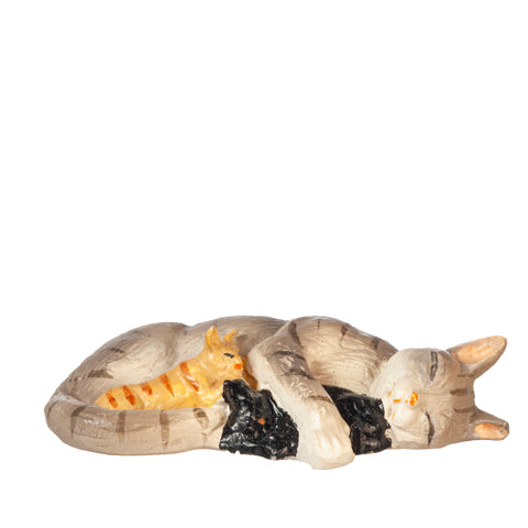 Cat, Sleeping, with Kittens, Grey Tabby
