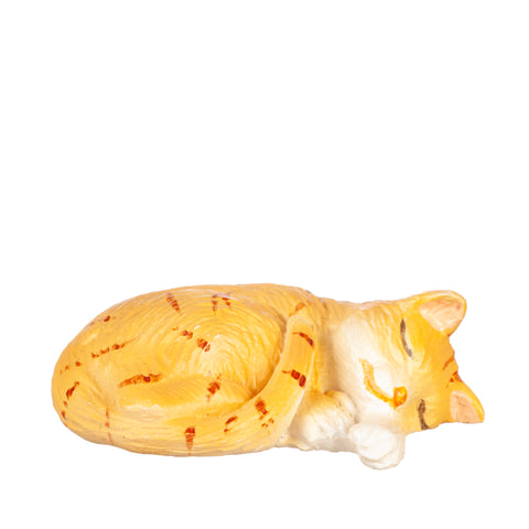 Cat, Sleeping, Right Side, Orange Tabby