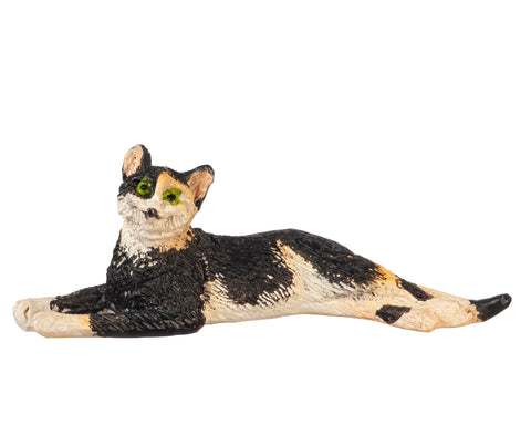 Cat, Laying Stretched, Calico