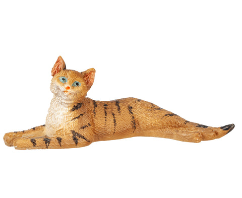 Cat, Laying Stretched, Brown Tabby