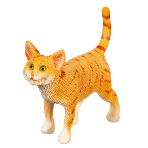 Cat, Standing, Orange Tabby