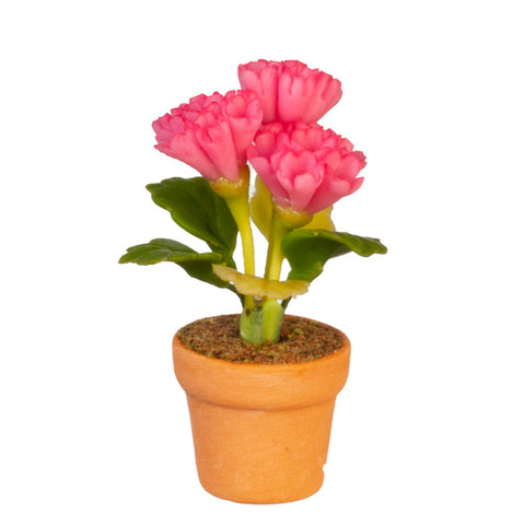 Potted Flower