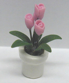 Pink Tulips in a Pot