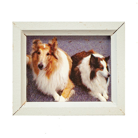 White Frame with Two Dogs