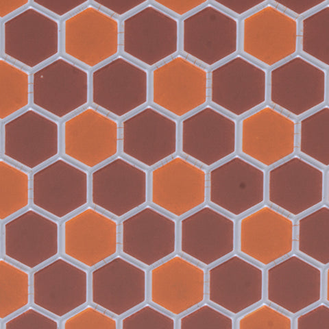 Tile Floor, Terra Cotta Light and Dark, Hexagon