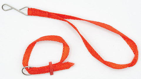 Dog Leash, Red