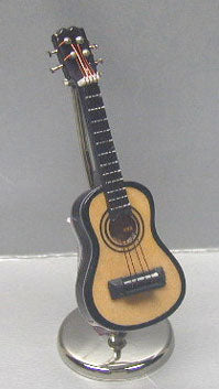 Acoustic Guitar and Case