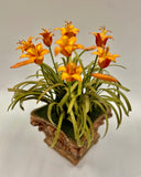 Pair of Planters with Tiger Lillies