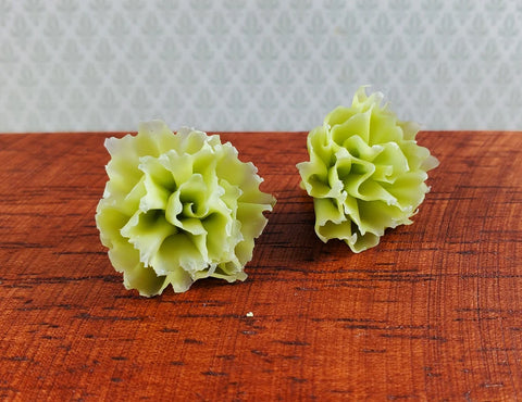 Green Leaf Lettuce, 2 Heads