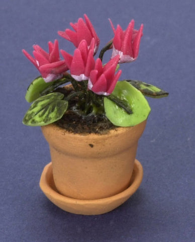 1/12 Scaled Potted Cyclamen
