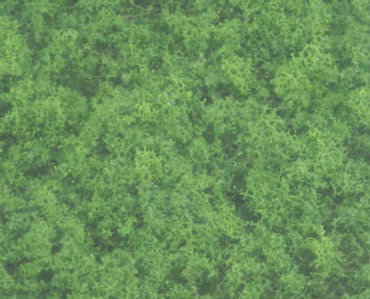 Foliage Medium Green