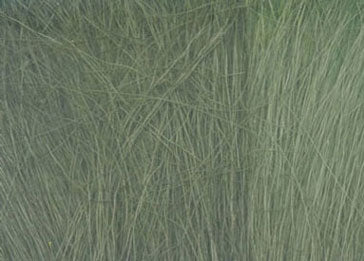 Field Grass-Medium Green