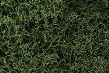 Lichen - Medium Green 1.5 Qts