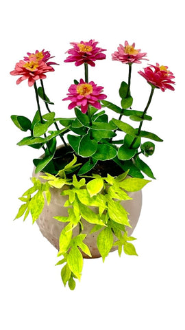 Potted Mums, Pink