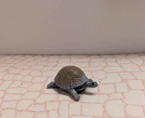 Tortoise / Turtle in Gray and Brown