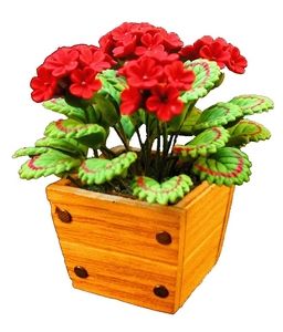 Geranium, Small Wooden Planter, Red