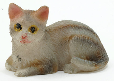 Tabby Cat, Sitting