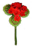 Geranium, Single with Leaves, Red