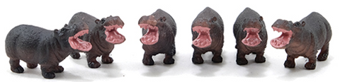 Hippo, Sold Individually