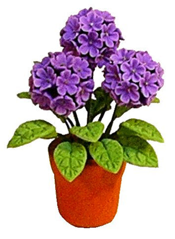 Hydrangea in Clay Pot, Purple