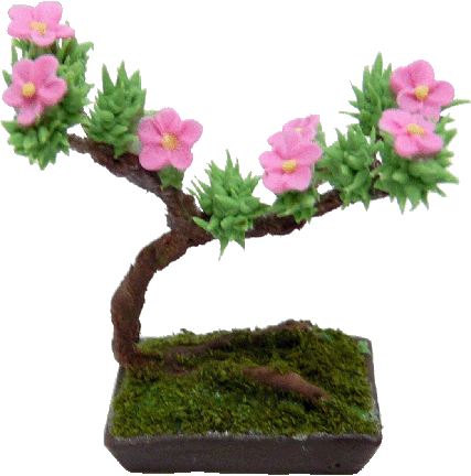 Miniature Scale Flowering Bonsai Tree