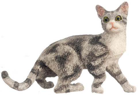 Grey Cat, Walking, LIMITED STOCK
