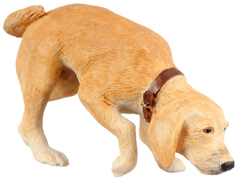 Sniffing Dog, Golden Labrador
