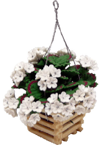 Geranium, Hanging Wooden Basket, White