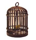 Rustic Bird Cage with Canary