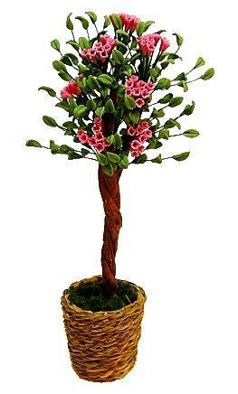 Ornamental Flowering Tree
