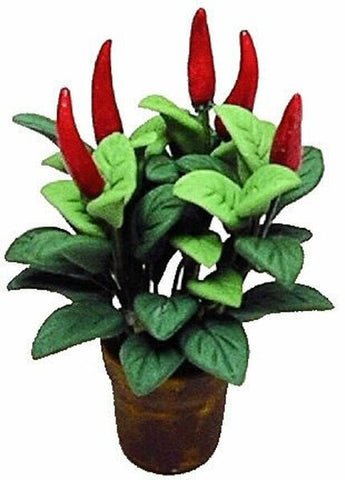 Red Chili Pepper Plant