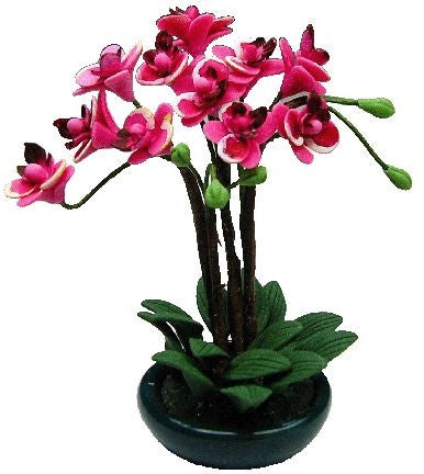 Pink Orchid Arrangement in Bowl