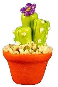 Flowering Tall Cactus in Pot