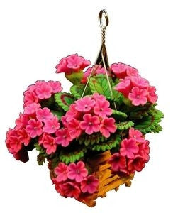 Geranium, Hanging Wooden Basket, Pink