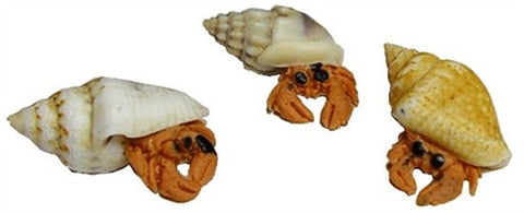 Hermit Crabs - Set of 3