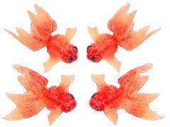 Gold Goldfish - Set of 4