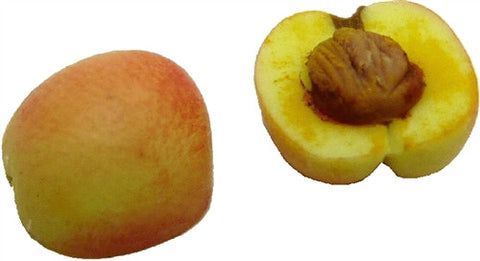 Peach Halves (Set of 2)