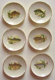 Fish Plates, Set of 6