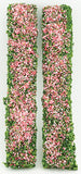 Border, Pink and White Set of Two