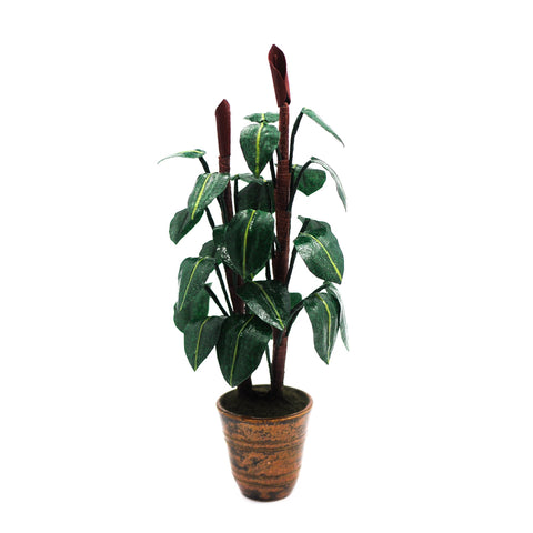 Red Philodendron by Steve Costanza